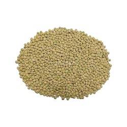 عدس ریز فله